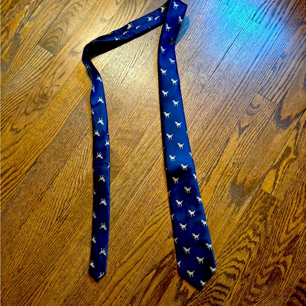 Blue necktie with dinosaurs